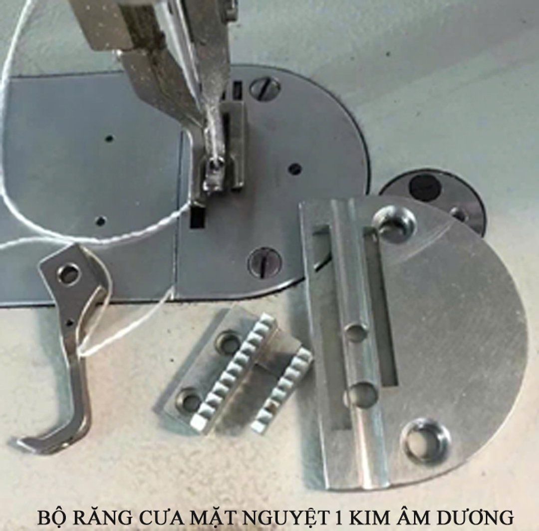 Bộ răng cưa mặt nguyệt máy 1 kim âm dương