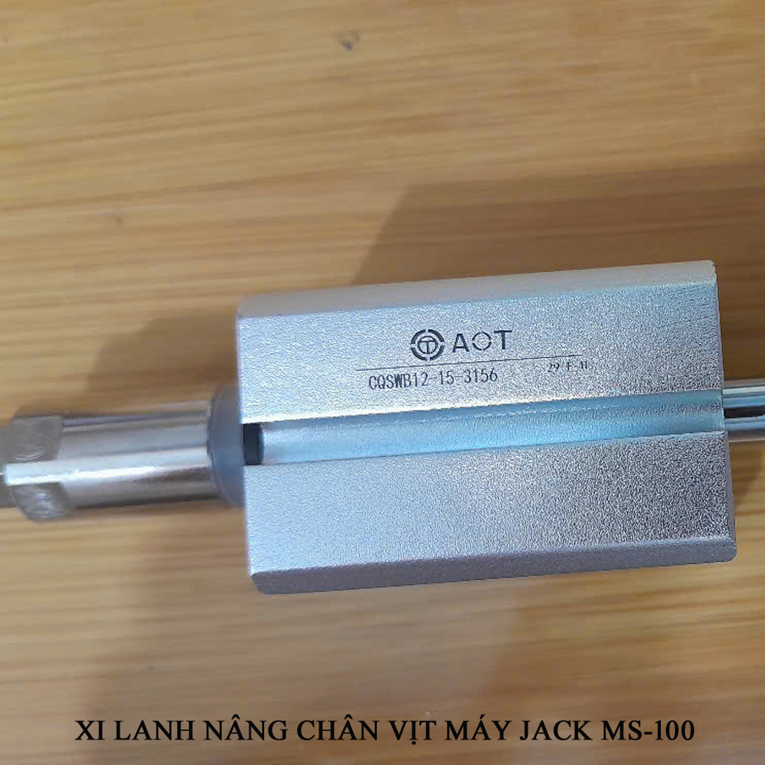 Xi lanh nâng chân vịt máy lập trình JACK MS-100 CQSWB12_15_3156