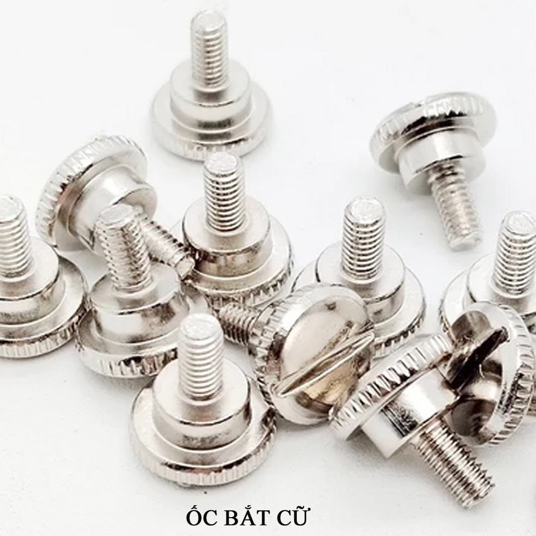 Ốc bắt cữ