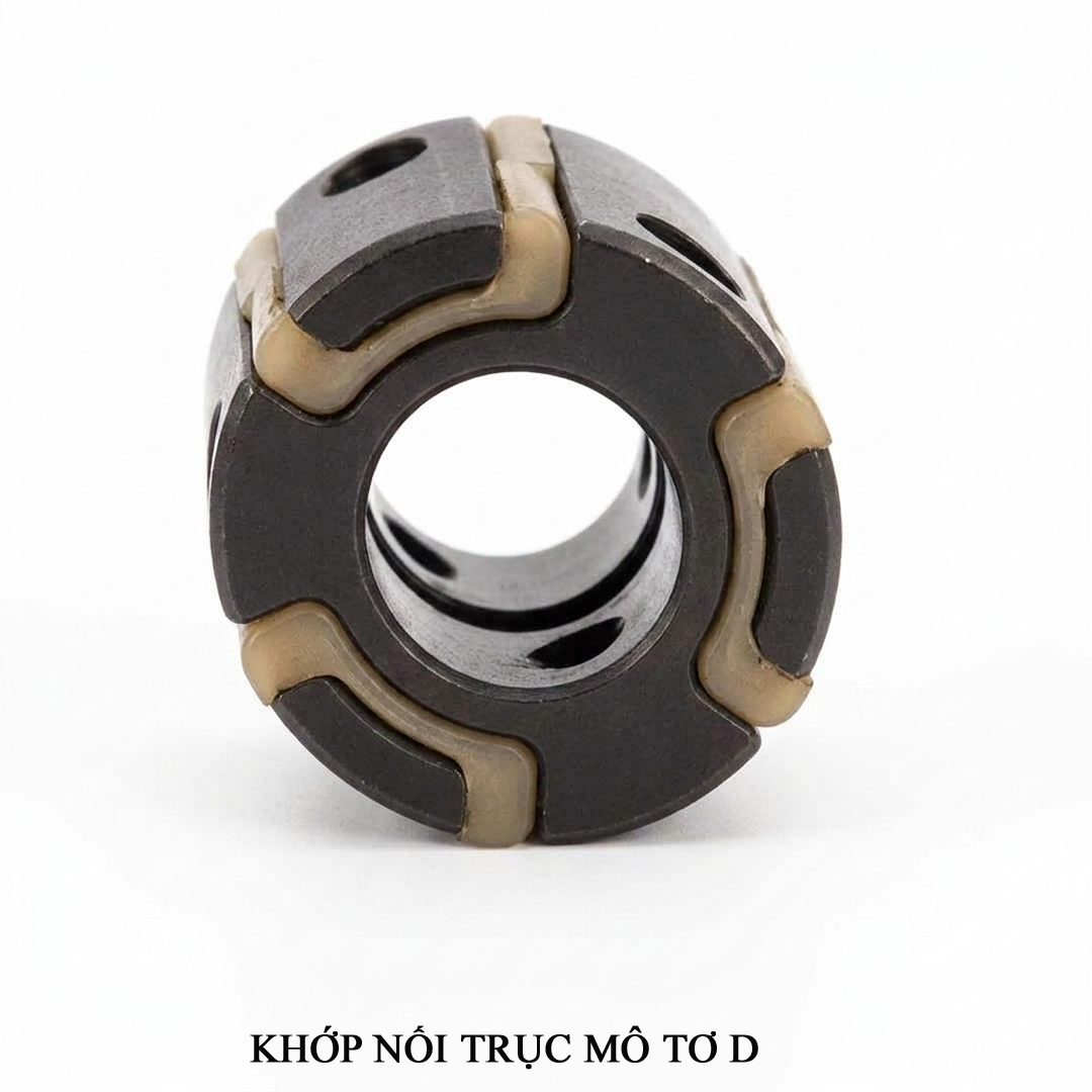 Khớp nối trục mô tơ D