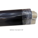 Băng tải máy ép mex đúc liền không gân