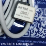 Cảm biến Xi lanh DMSJ_020