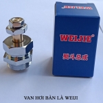 Van hơi bàn là WEIJI
