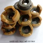 Khớp nối trục mô tơ máy Tr15