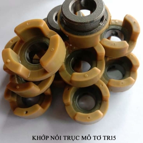 Khớp nối trục mô tơ máy Tr15